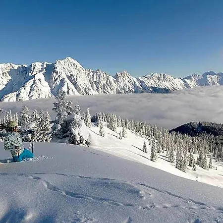 Johanneshof - Dein Mountain Wohlfuehlhotel 3* Зальбах-Хинтерглемм